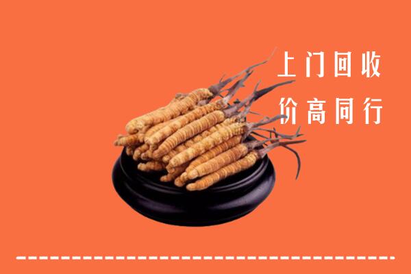绵阳市回收散虫草