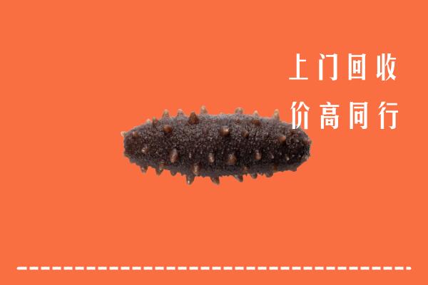 绵阳市回收海参