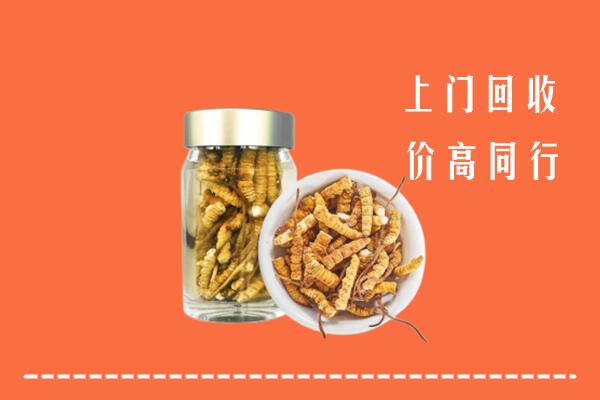 绵阳市回收冬虫夏草